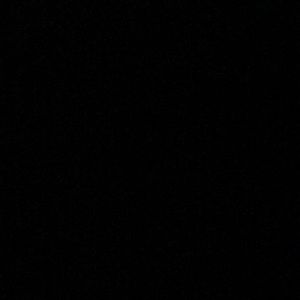 Meet your Posher, Lee